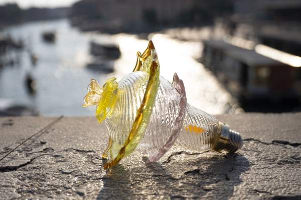 Multiforme reinvents la lampadina